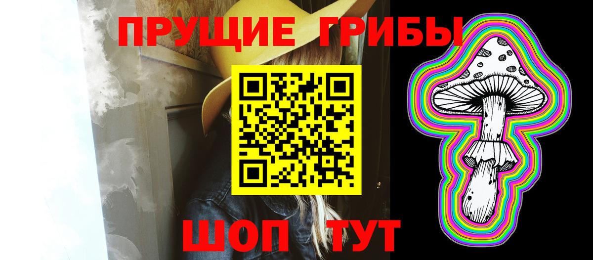 Псилоцибиновые грибы Psilocybine cubensis Новозыбков