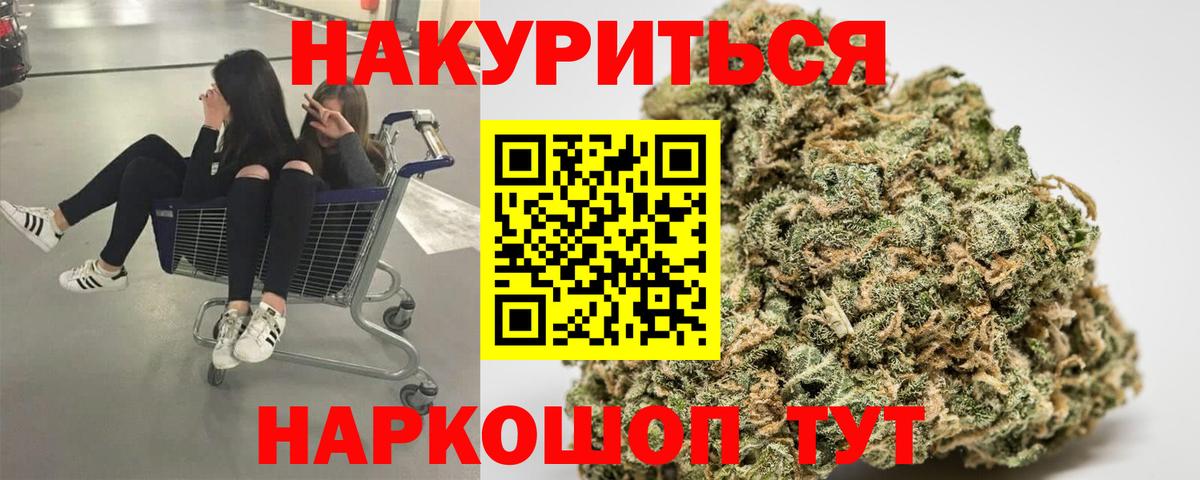 Марихуана сатива  Конопля сатива  Вход с VPN  Новозыбков 